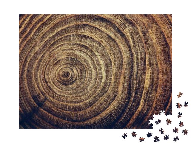 Stump of Oak Tree Felled - Section of the Trunk with Annu... Jigsaw Puzzle with 1000 pieces