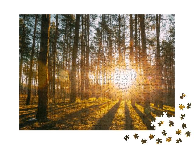 Beautiful Sunset Sunrise Sun Sunshine in Sunny Spring Con... Jigsaw Puzzle with 1000 pieces