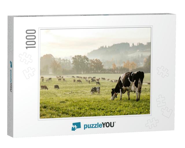 Red & Black Holstein Cows Are Grazing on a Cold Autumn Mo... Jigsaw Puzzle with 1000 pieces