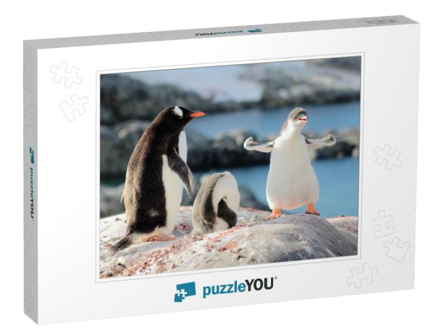 Strongest Gentoo Penguin Cute Funny Baby Chick Mummy Mom... Jigsaw Puzzle