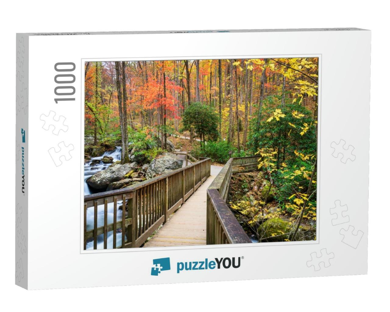 Bridge to Anna Ruby Falls, Georgia, USA in Autumn... Jigsaw Puzzle with 1000 pieces