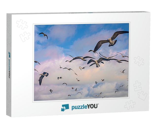 Flock of Seagulls, Probably Laughing Gulls Binomial Name... Jigsaw Puzzle