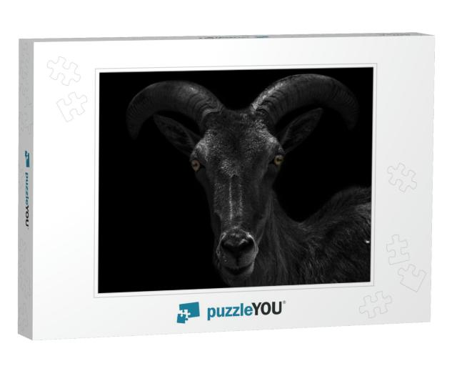 Close-Up Head of a Dark Capricorn Looking At the Camera &... Jigsaw Puzzle