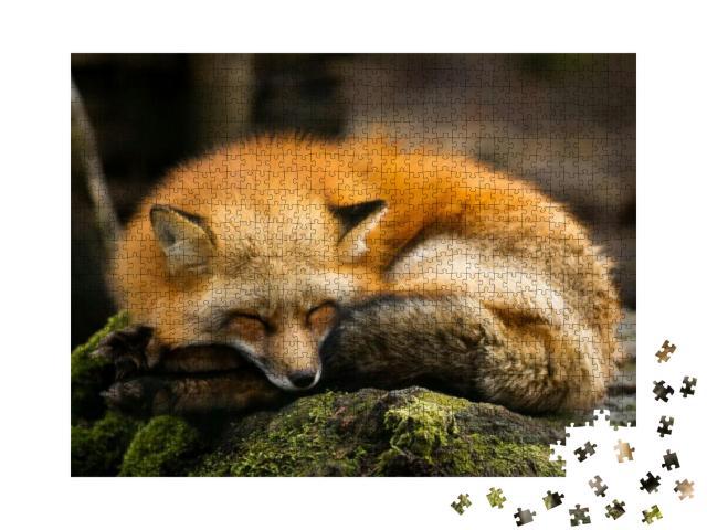Red Fox Animal... Jigsaw Puzzle with 1000 pieces