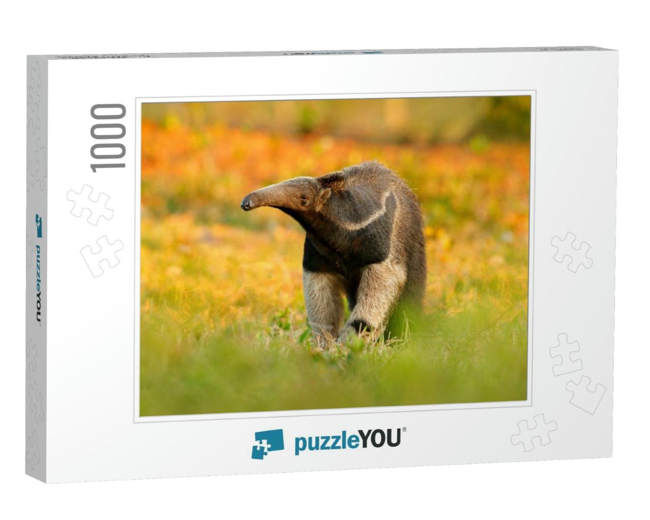 Anteater, Cute Animal from Brazil. Giant Anteater, Myrmec... Jigsaw Puzzle with 1000 pieces