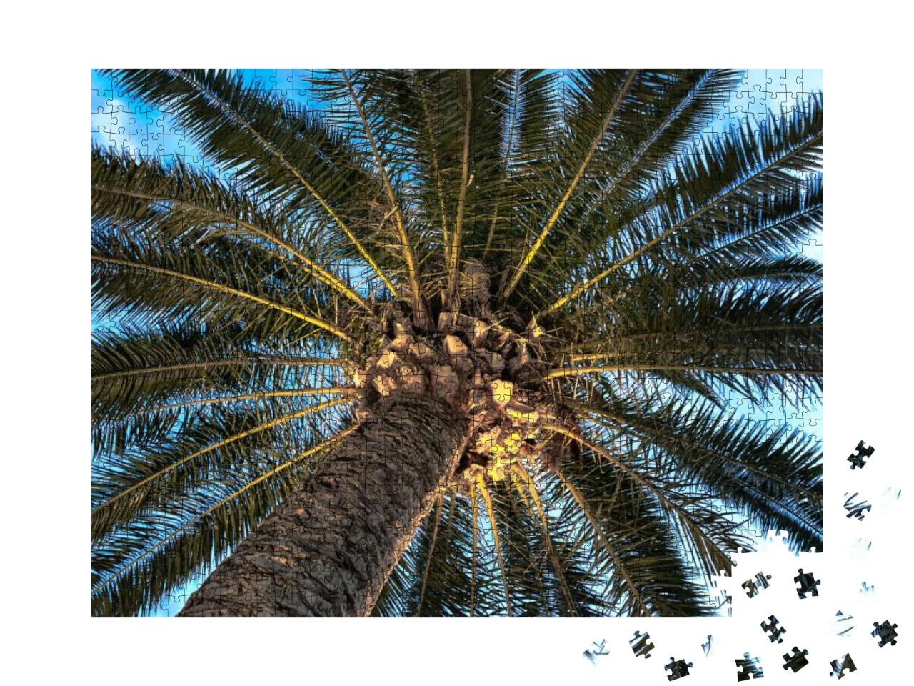 Palm Tree, View from Below. Travel Background with Palm T... Jigsaw Puzzle with 1000 pieces