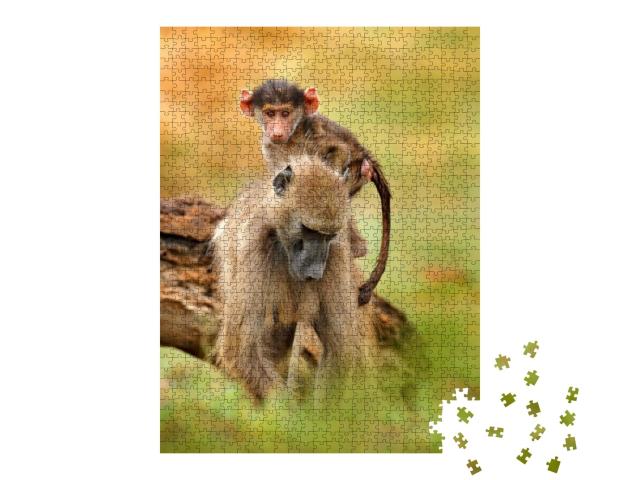 Monkey Young Cub. Chacma Baboon, Papio Ursinus, Monkey fr... Jigsaw Puzzle with 1000 pieces