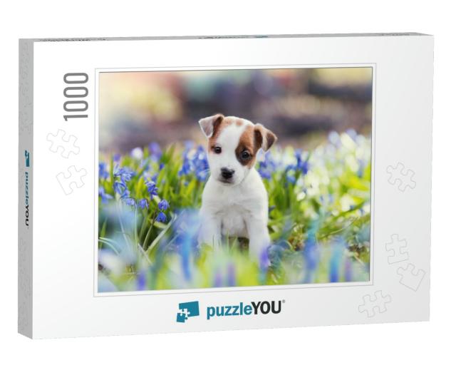 White Jack Russell Terrier Puppy Sitting Among Blue Flowe... Jigsaw Puzzle with 1000 pieces