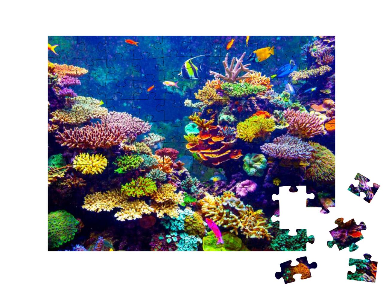 Coral Reef & Tropical Fish in Sunlight. Singapore Aquariu... Jigsaw Puzzle with 100 pieces