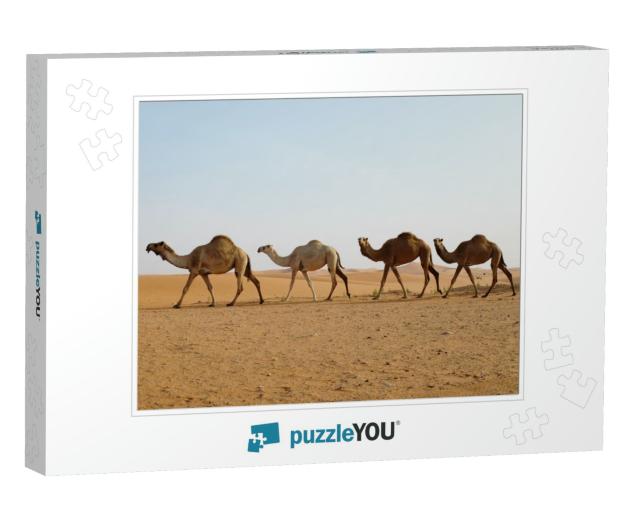 Line of Dromedary Camels Crossing the Arabian Desert in R... Jigsaw Puzzle