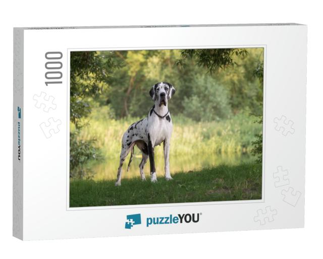 Great Dane in Beautiful Landscapes... Jigsaw Puzzle with 1000 pieces