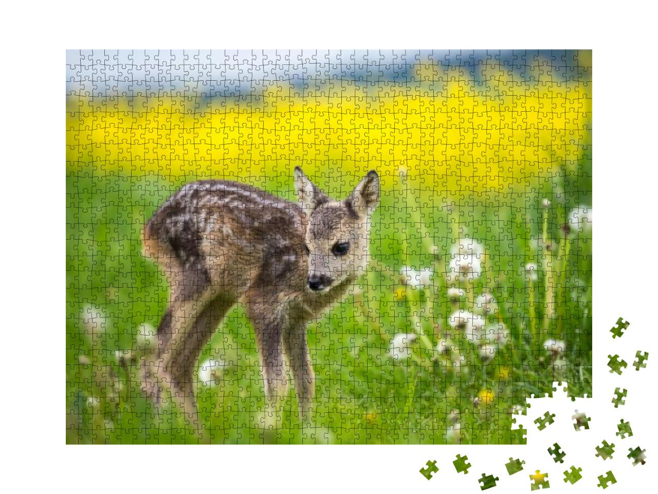 Young Wild Roe Deer in Grass, Capreolus Capreolus. New Bo... Jigsaw Puzzle with 1000 pieces