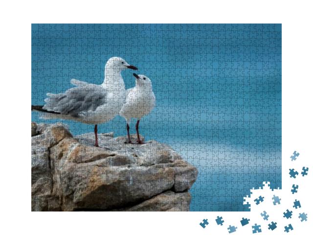 Seagulls At the Rocky Shore of the Indian Ocean in South... Jigsaw Puzzle with 1000 pieces