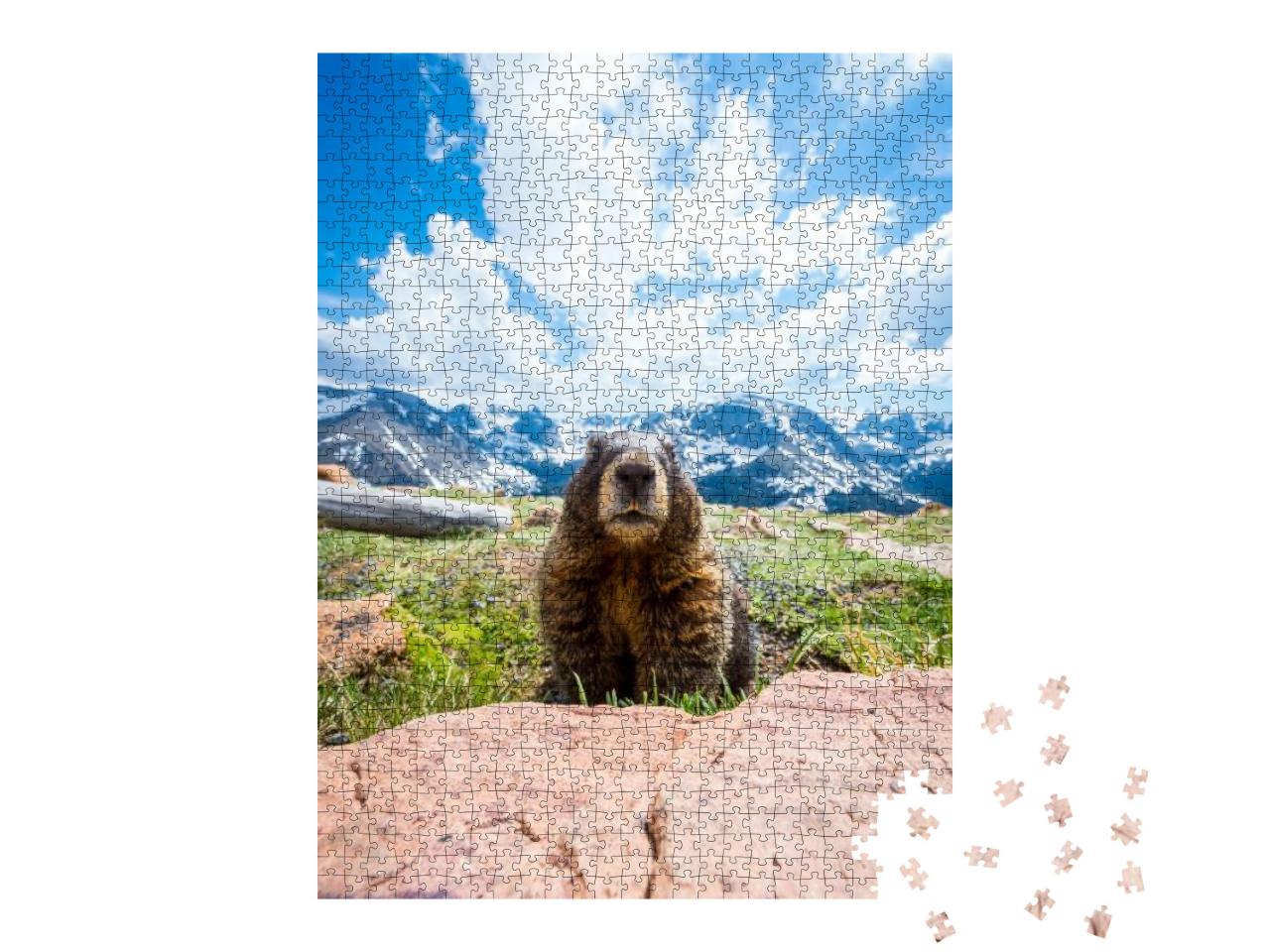 A Curious Marmot in Rocky Mountain National Park, Co... Jigsaw Puzzle with 1000 pieces