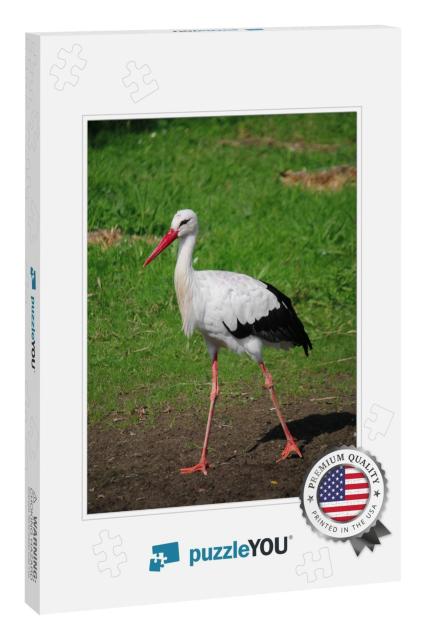 Small Stork is Walking in the Garden... Jigsaw Puzzle