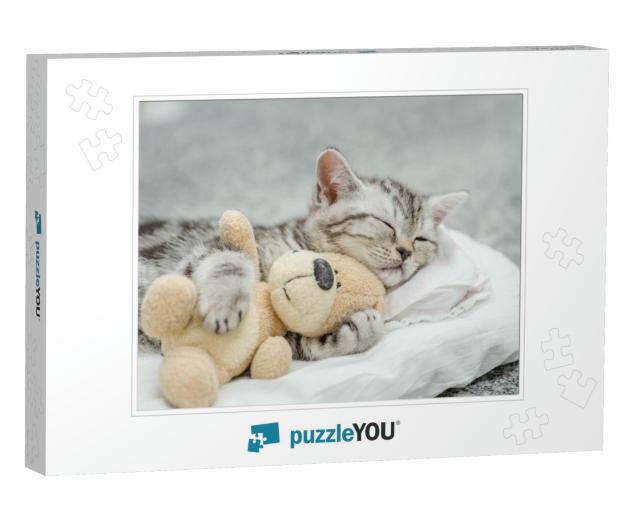 Cute Kitten Sleeping with Toy Bear... Jigsaw Puzzle