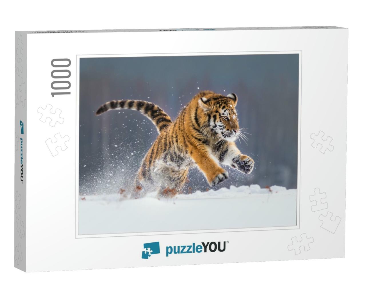 Siberian Tiger Running in Snow. Beautiful, Dynamic & Powe... Jigsaw Puzzle with 1000 pieces