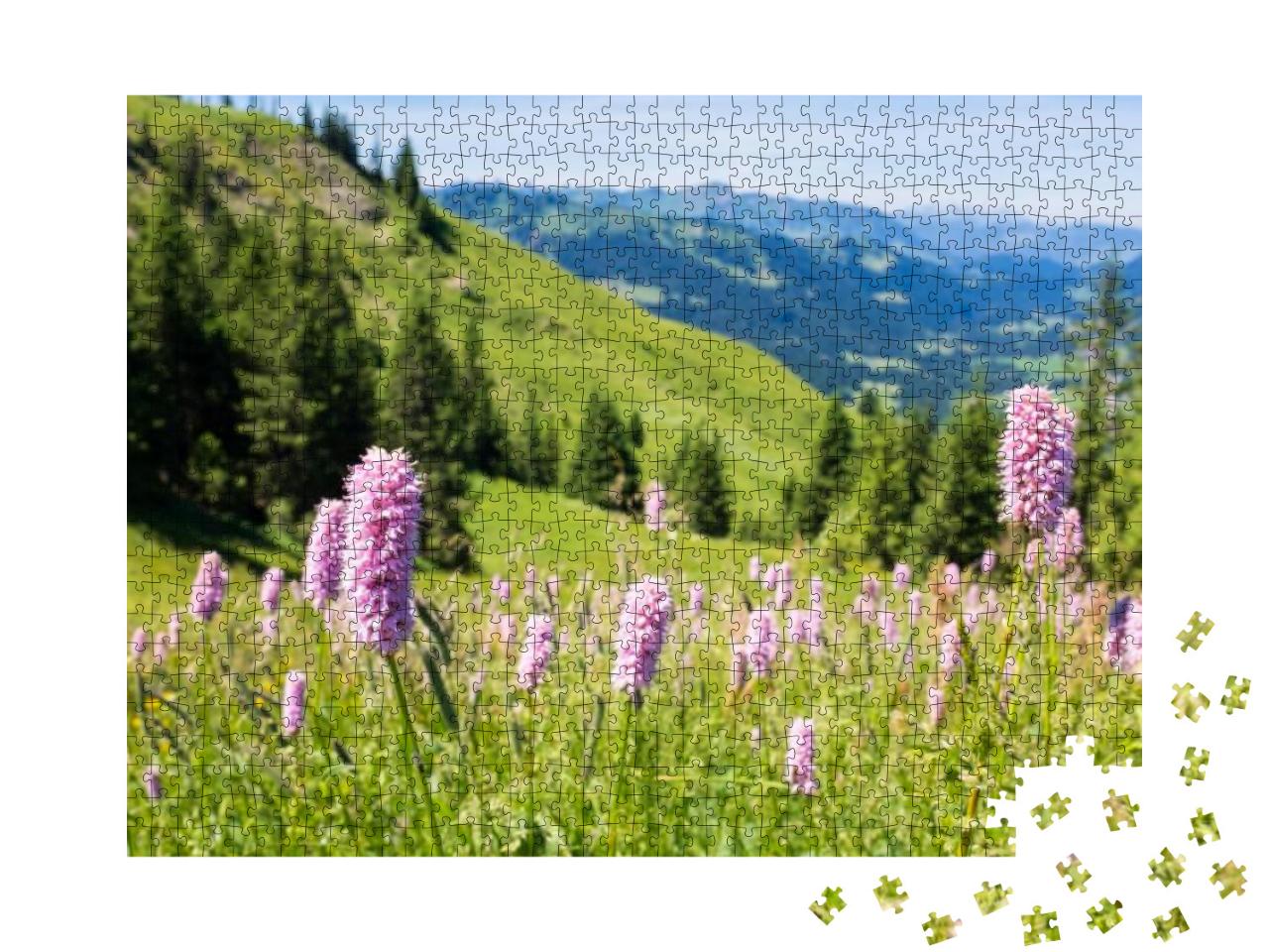 Bavarian Alps with Mountain View & Meadows in the Allgau... Jigsaw Puzzle with 1000 pieces