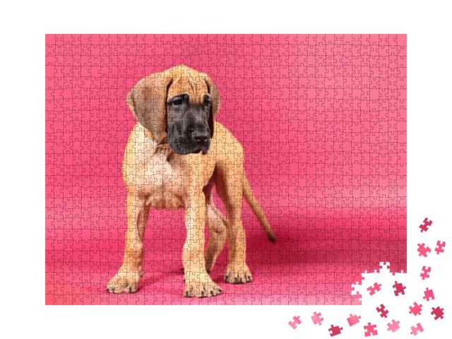 Fawn Great Dane Puppy Portrait... Jigsaw Puzzle with 1000 pieces