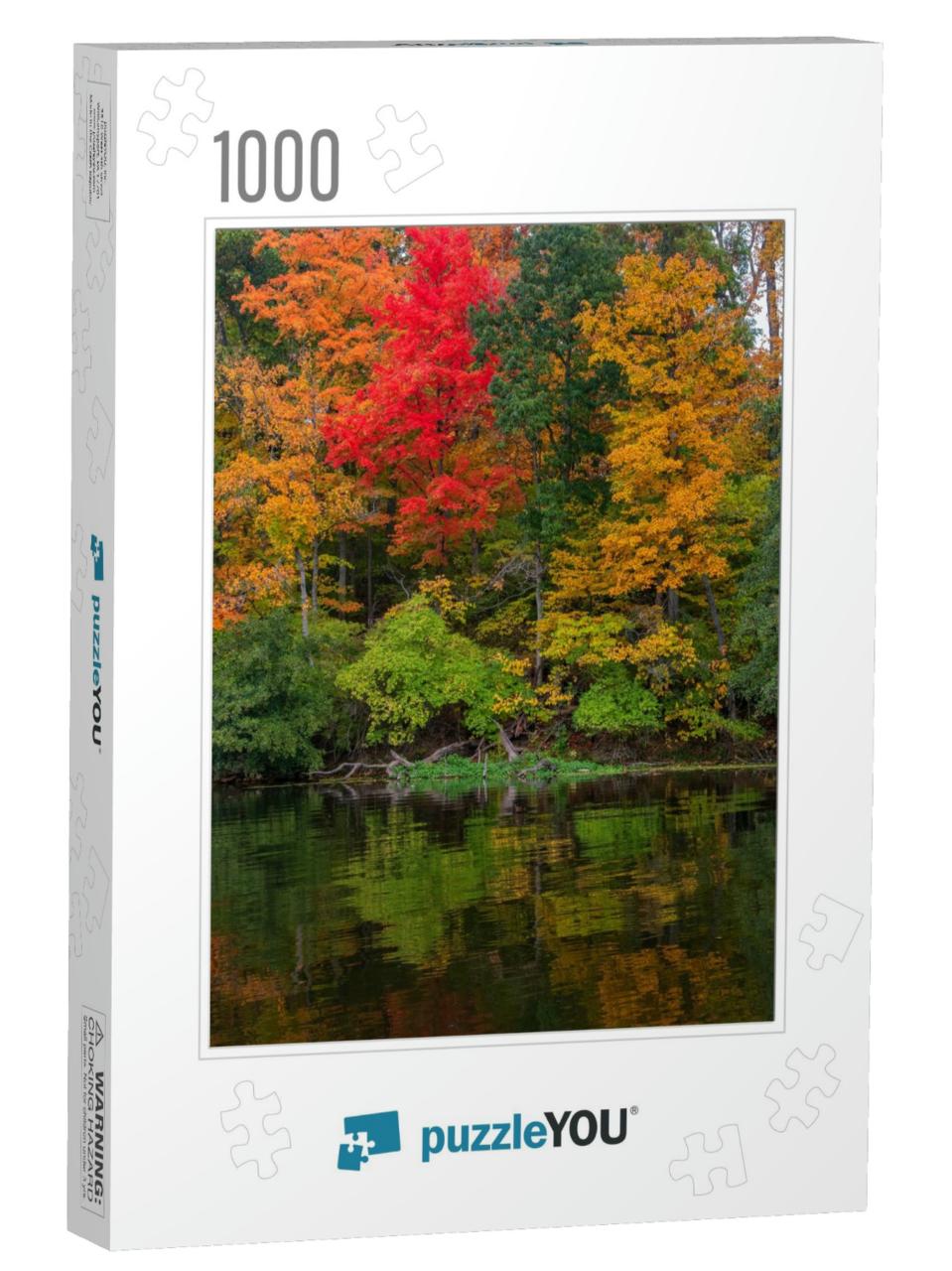 Beautiful Fall Foliage in Sharon Woods Park in Cincinnati... Jigsaw Puzzle with 1000 pieces