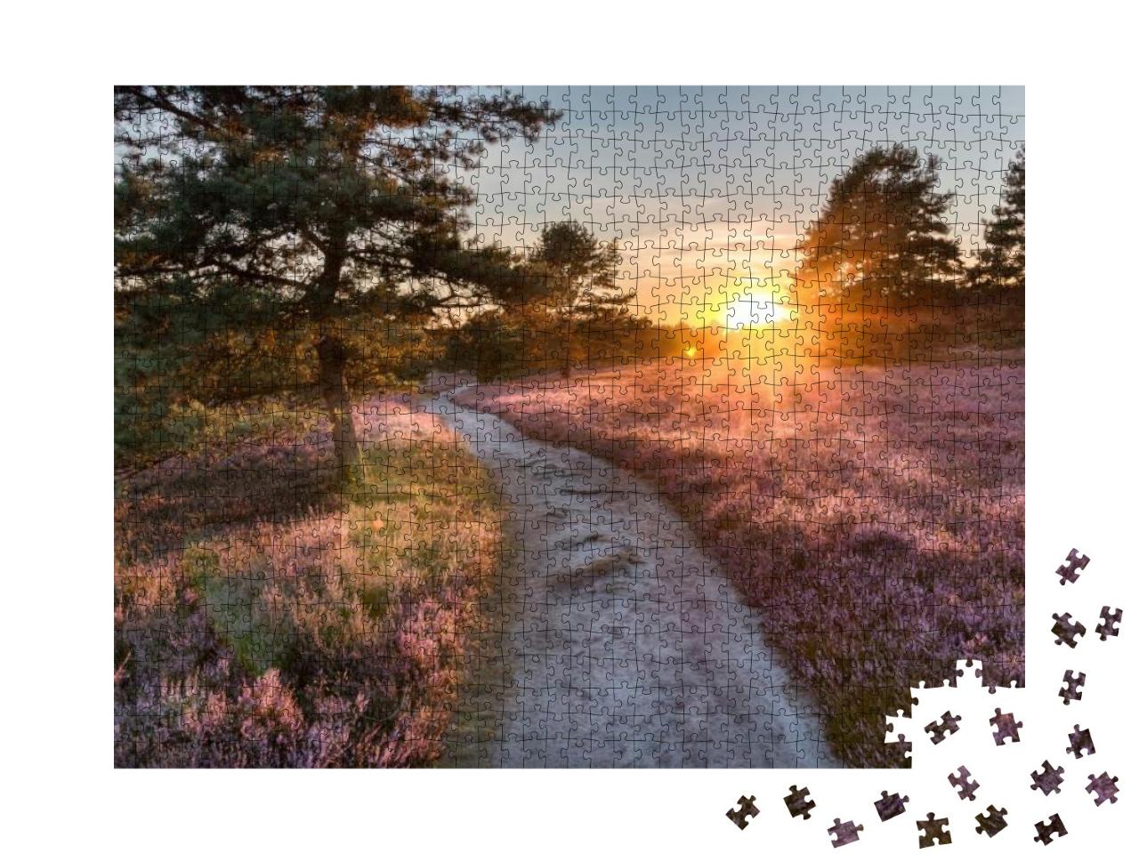 Path Trough Heathland with Flowering Heather Calluna Vulg... Jigsaw Puzzle with 1000 pieces