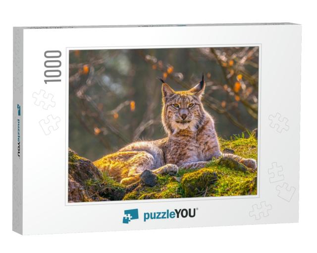 Cute Young Lynx in the Colorful Wilderness Forest... Jigsaw Puzzle with 1000 pieces