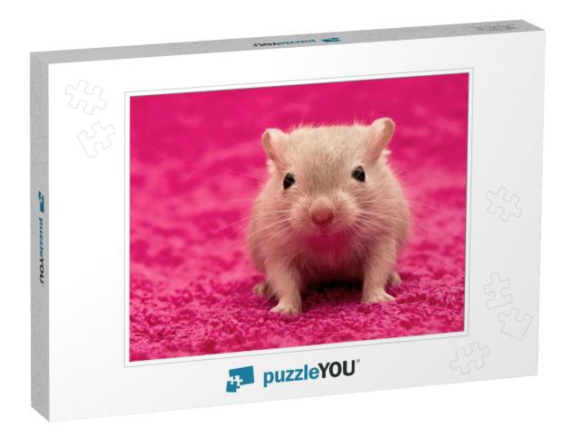 Hello... Jigsaw Puzzle