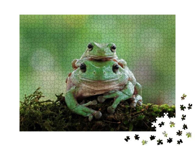 Australian White Tree Frog on Leaves, Dumpy Frog on Branc... Jigsaw Puzzle with 1000 pieces
