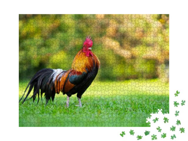 Beautiful Rooster Standing on the Grass in Blurred Nature... Jigsaw Puzzle with 1000 pieces