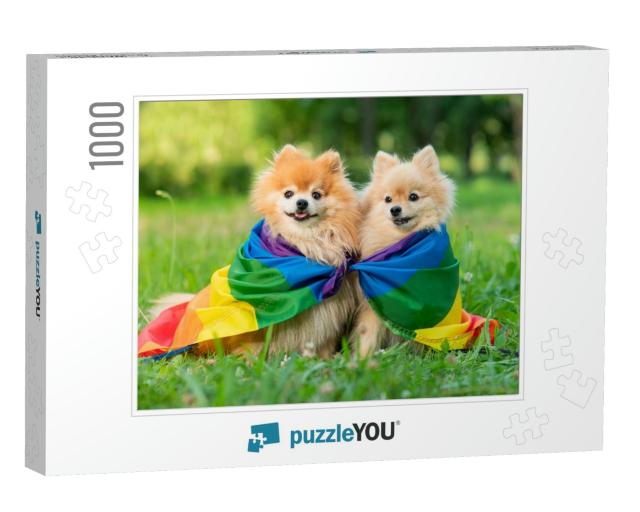 Two Happy Friends Pomeranian Spitz Dogs Lying on T... Jigsaw Puzzle with 1000 pieces
