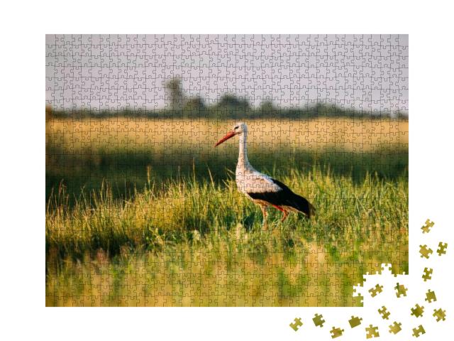 Belarus. Adult European White Stork Standing in Green Sum... Jigsaw Puzzle with 1000 pieces