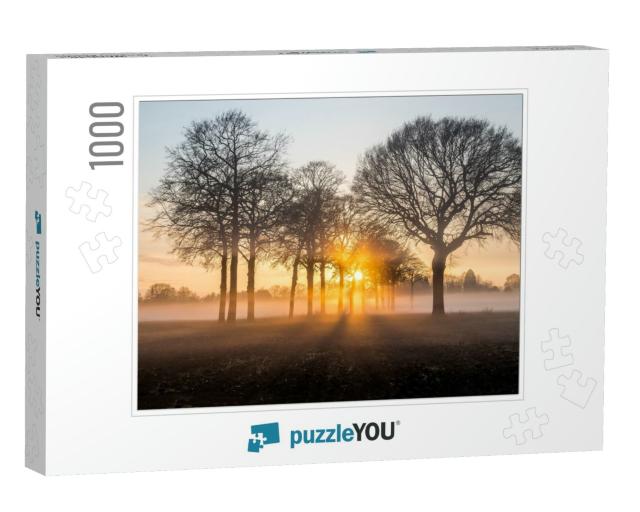 Sunrise Field Fog in Morning. Forest Tree Mist Landscape... Jigsaw Puzzle with 1000 pieces