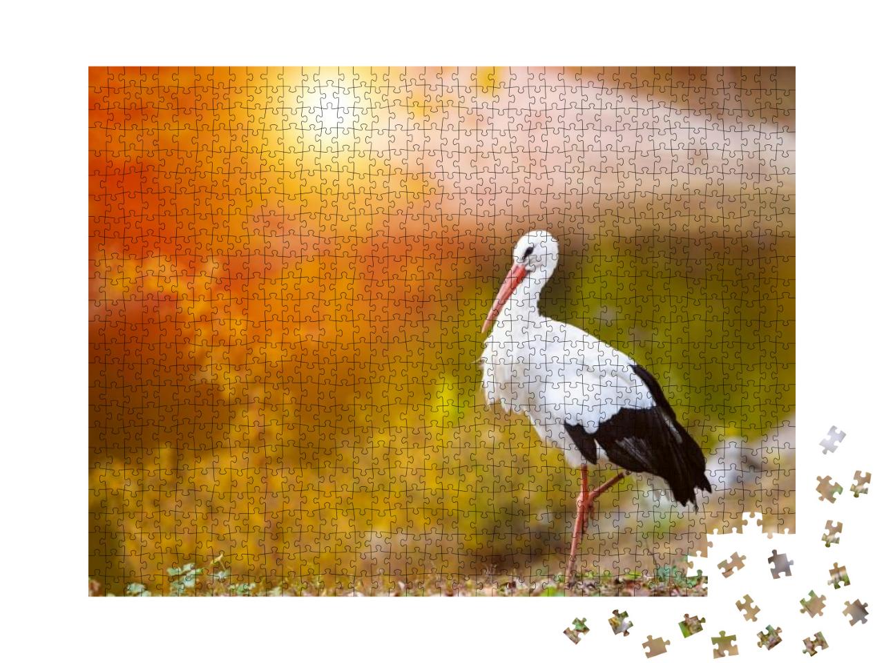 Beautiful White Stork... Jigsaw Puzzle with 1000 pieces