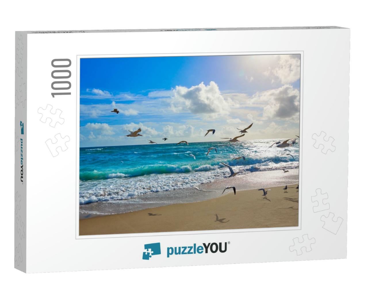 Singer Island Beach Seagulls At Palm Beach Florida in Usa... Jigsaw Puzzle with 1000 pieces