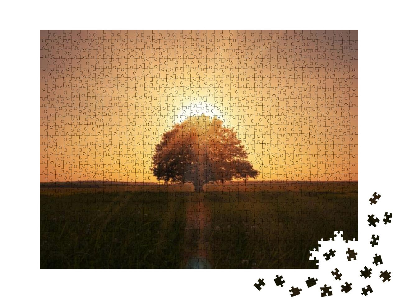 Magical Sunrise with Tree... Jigsaw Puzzle with 1000 pieces