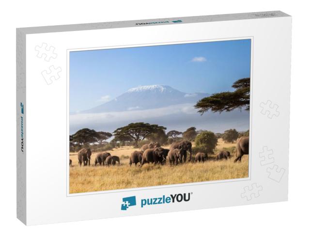 Herd of African Elephants Walking in the African Savannah... Jigsaw Puzzle