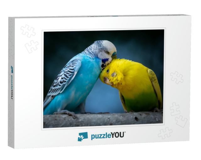 Portrait of Two Cute Cuddling Budgies Perched on Branch w... Jigsaw Puzzle