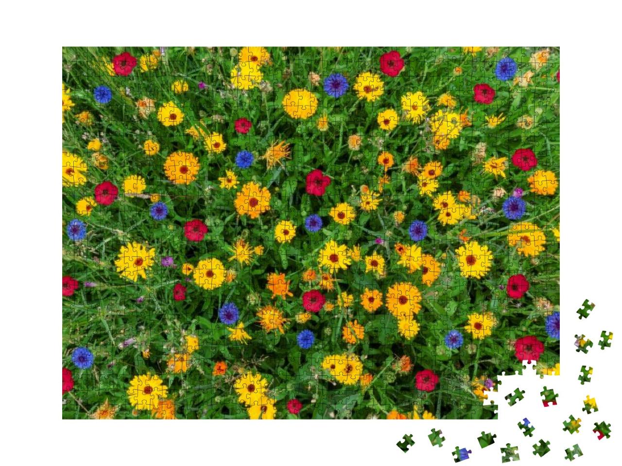 Colorful Flower Meadow in Summer with View from Above in... Jigsaw Puzzle with 1000 pieces