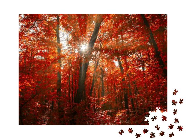 Red Autumn Forest with Sunlight. Spectacular Woodland in... Jigsaw Puzzle with 1000 pieces