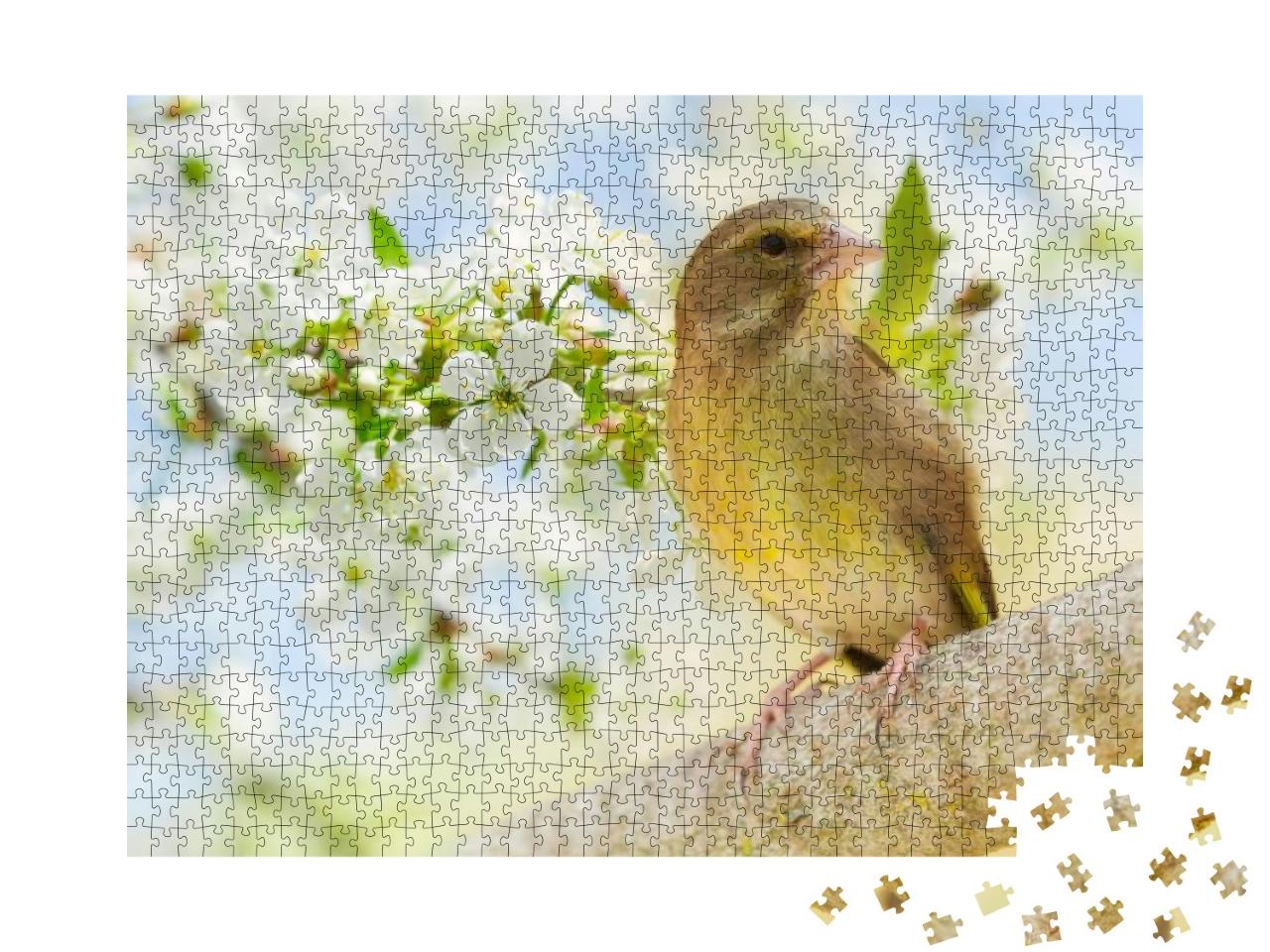 Little Songbird Perching on a Branch Over Blossoming Tree... Jigsaw Puzzle with 1000 pieces