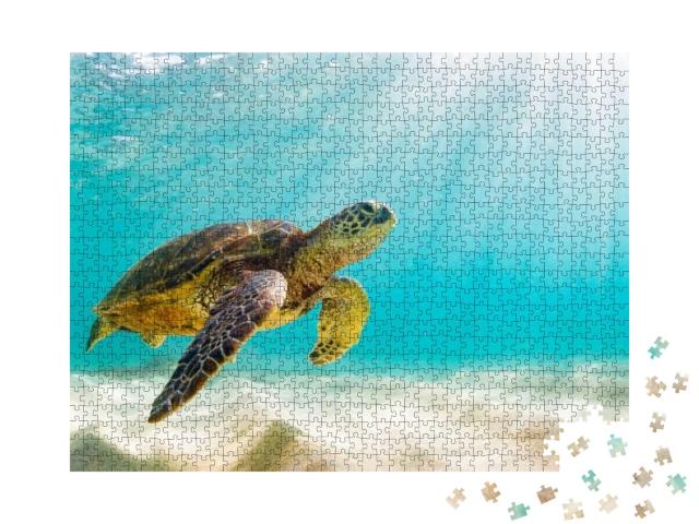 Photo of Sea Turtle in the Galapagos Island... Jigsaw Puzzle with 1000 pieces
