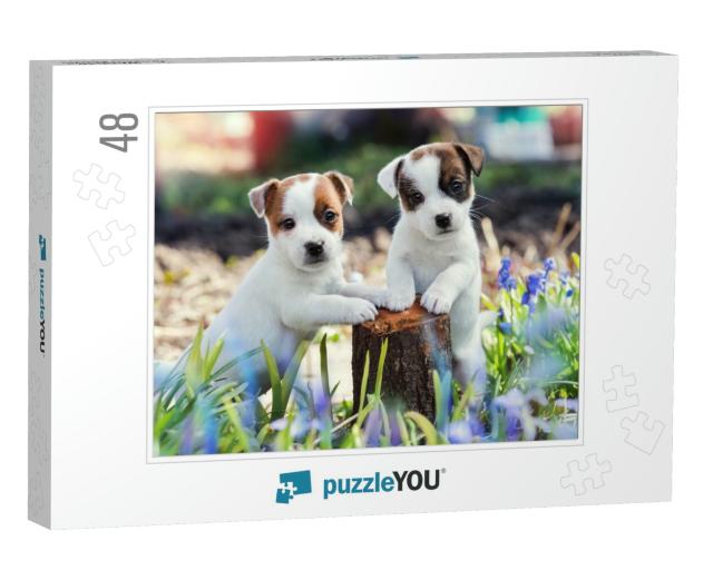 Two White Puppy Jack Russell Terrier Standing on Tree Stu... Jigsaw Puzzle with 48 pieces