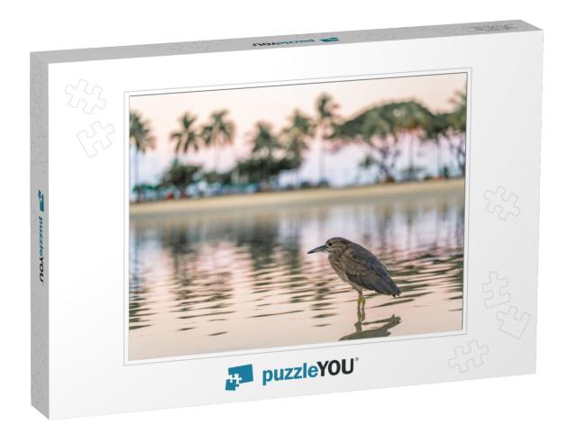 A Beautiful Bird At a Lagoon in Honolulu, Hawaii, At Waik... Jigsaw Puzzle