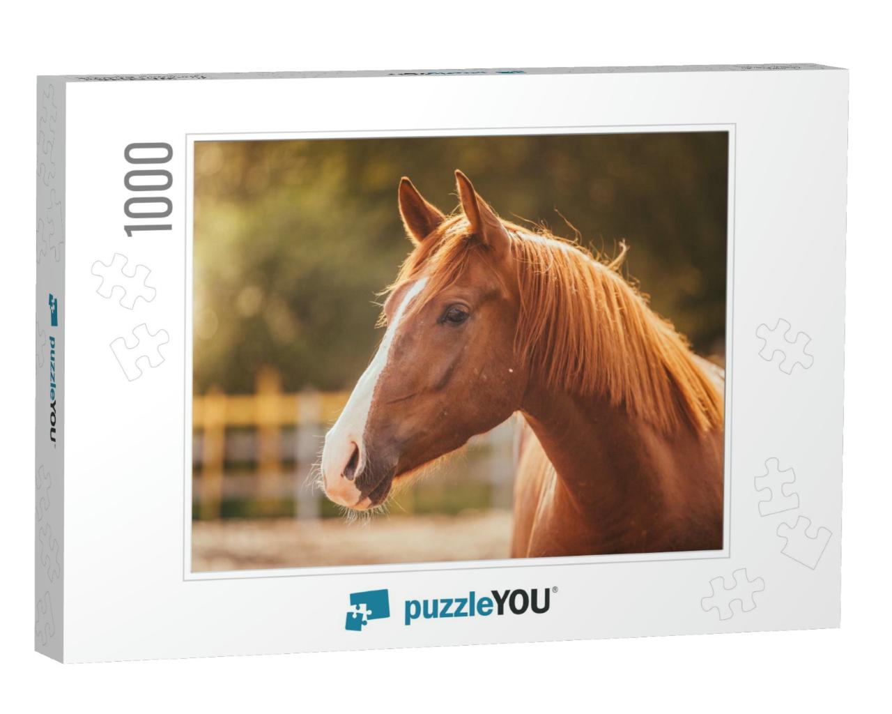 Horse on Nature. Portrait of a Horse, Brown Horse... Jigsaw Puzzle with 1000 pieces