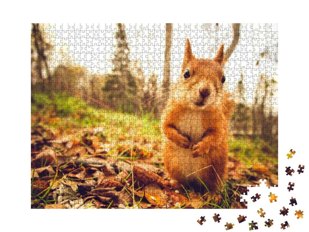 Squirrel Red Fur Funny Pets Autumn Forest on Background W... Jigsaw Puzzle with 1000 pieces
