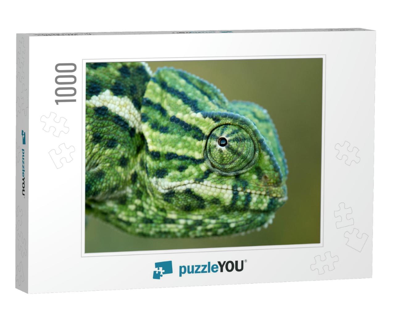 A Chameleon in a Natural Environment. Chamaeleo Chameleon... Jigsaw Puzzle with 1000 pieces