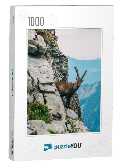 Alpine Capricorn Steinbock Capra Ibex in the Mountain Sce... Jigsaw Puzzle with 1000 pieces