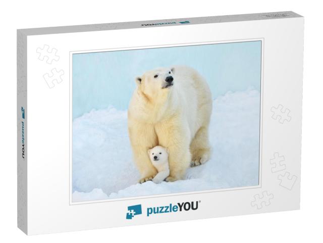 A Polar Bear with a Small Bear Cub in the Snow... Jigsaw Puzzle