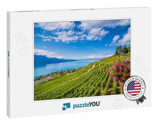 Beautiful Scenery with Rows of Vineyard Terraces in Famou... Jigsaw Puzzle