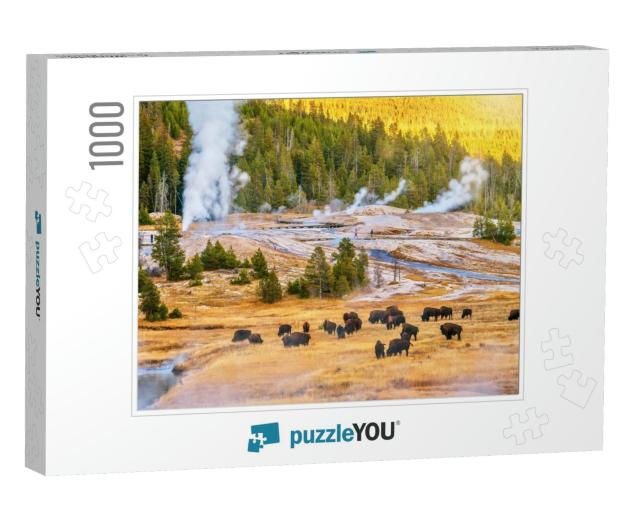 A Sunset Landscape At the Upper Geyser Basin in Yellowsto... Jigsaw Puzzle with 1000 pieces
